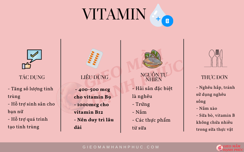 Vitamin tốt cho tinh trùng