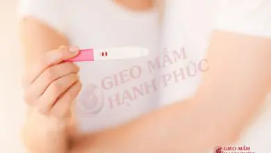 các loại que thử thai trên thị trường