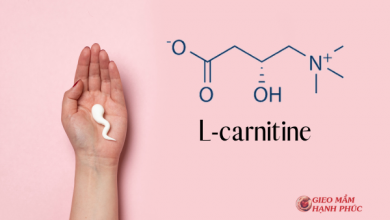 L-carnitine có tác dụng gì