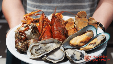 Top 9 hải sản tốt cho tinh trùng nam giới cần bổ sung